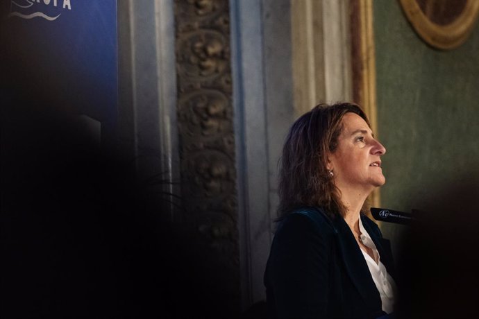 La vicepresidenta Tercera del Gobierno y Ministra para la Transición Ecológica y el Reto Demográfico, Teresa Ribera, interviene durante un desayuno informativo de Fórum Europa, en el Real Casino Gran Círculo de Madrid, a 11 de enero de 2024 en Madrid (Esp