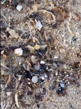 Bolitas de pélets aparecidas en la playa de Bolonia
