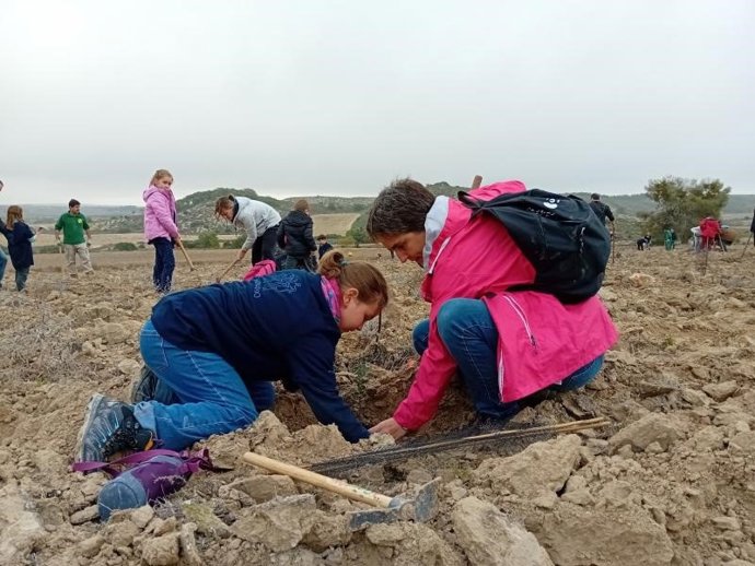 Archivo - El Bosque de los Zaragozanos inicia su tercera temporada con la plantación de 300 nuevos árboles.