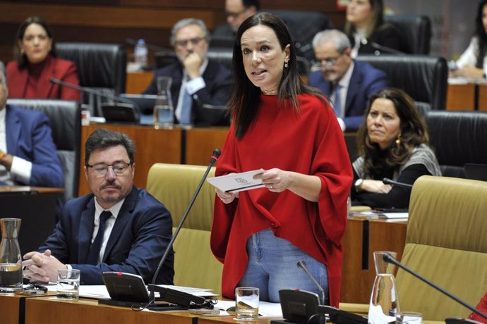 La consejera de Salud y Servicios Sociales, Sara García Espada, comparece en la Asamblea de Extremadura