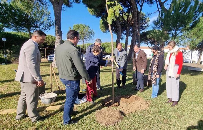 Repoblación de árboles en La Rábida, en Palos de la Frontera (Huelva).