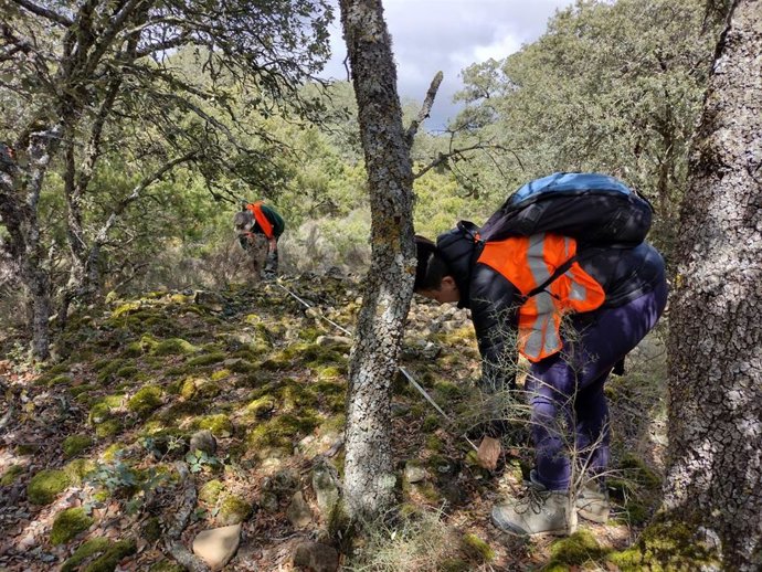 Túmulos funerarios en el yacimiento de Cabeza Ladrero.