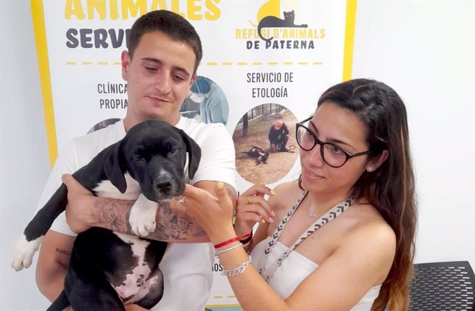 Adopción de animales del refugio de Paterna