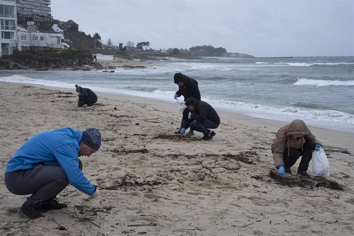 Voluntarios limpian pellets en la playa de Samil, a 10 de enero de 2024, en Vigo, Pontevedra, Galicia (España). Voluntarios se han organizado para limpiar algunas playas de las provincias de A Coruña y Pontevedra a las que ha llegado el vertido de los pel