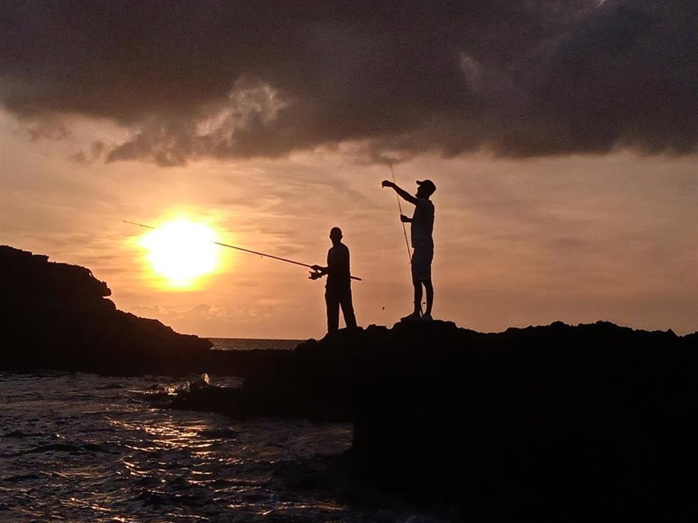 Pescadores con cañas en una orilla.