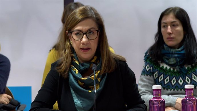 La presidenta del CERMI, Cristina Gómez, en rueda de prensa.