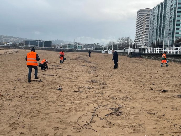Operarios de Emulsa buscan restos de pélets en la playa de San Lorenzo, en Gijón.