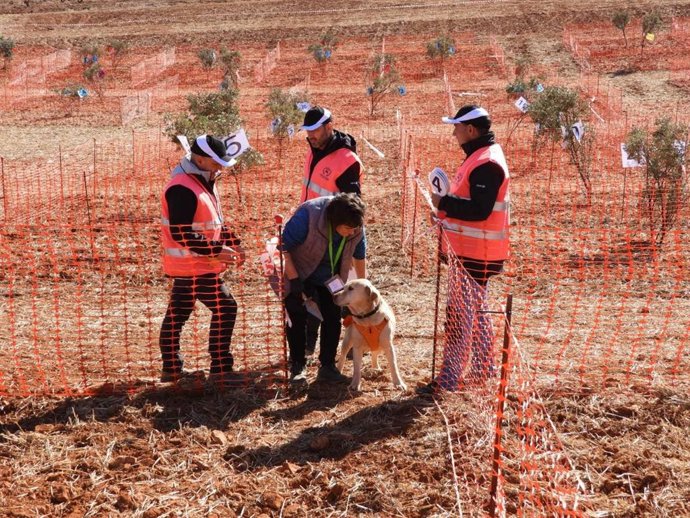 Concurso Nacional de Caza de Trufa en la Comarca Campo de Daroca.