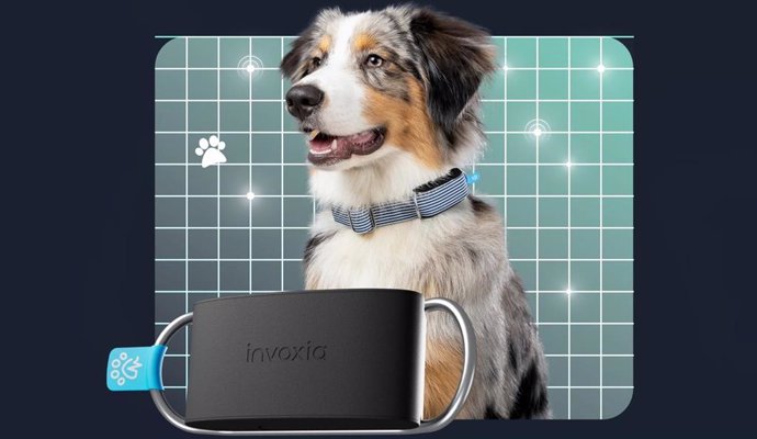 El nuevo collar inteligente para perros de Invoxia, Minitailz.