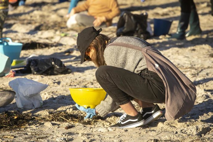 Archivo - Varios voluntarios recogen pellets en la playa de Panxón, a 11 de enero de 2024, en Pontevedra, Galicia.