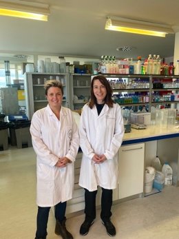 La Generalitat respalda el desarrollo de un nuevo tipo de detergente más sostenible que contribuye a reducir el uso del plástico