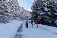 Madrileños suben al puerto de Navacerrada para disfrutar de las primeras nieves del año