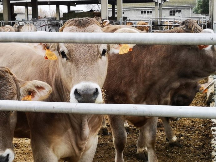 El CITA participará en el proyecto PASTORCLIM que busca la promoción de la trashumancia.