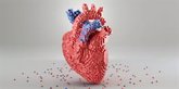Foto: Investigadores crean un corazón biorrobótico que late como uno real