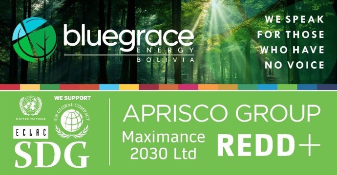 BlueGrace Energy Bolivia.