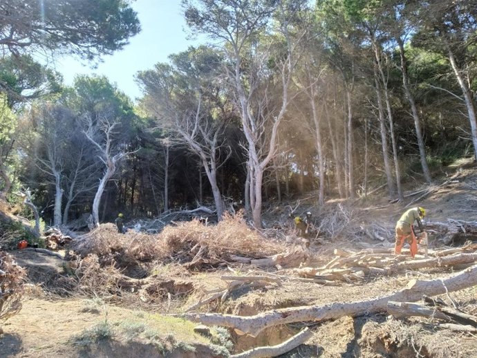 Trabajos de restauración y mejora del Sivinar de Mongofre