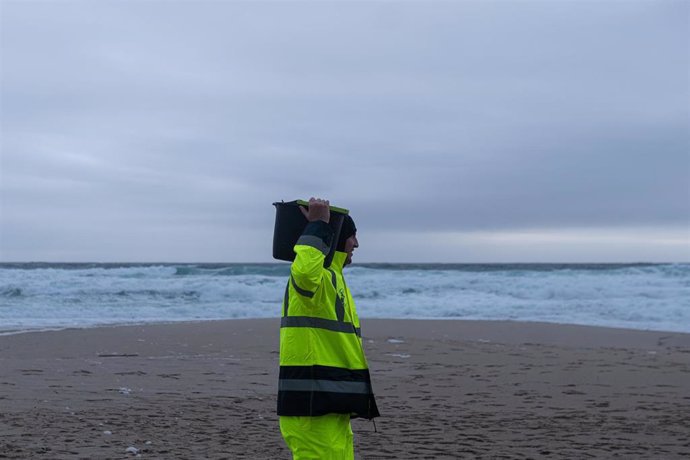 Un hombre carga un cubo lleno de pellets, en la playa Area Maior, a 13 de enero de 2024, en Muros, A Coruña
