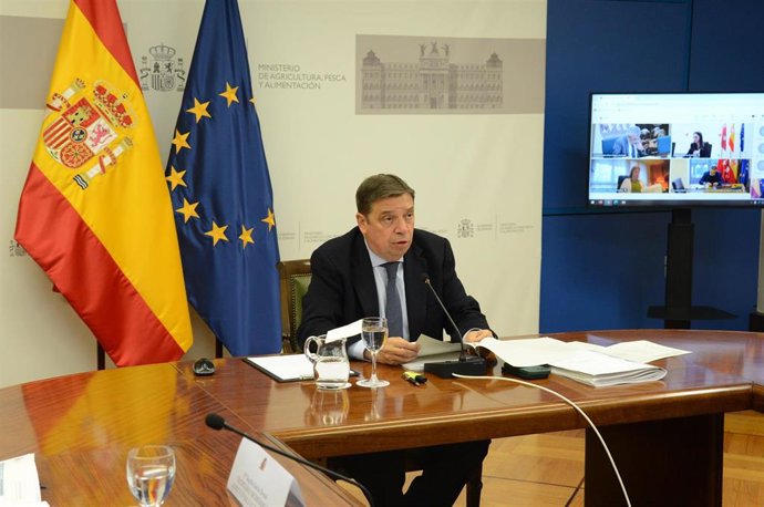 El ministro de Agricultura, Pesca y Alimentación, Luis Planas, en la reunión por videoconferencia en la Sectorial de Agricultura