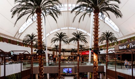 Comunicados Sociedad