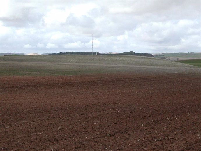 Archivo - Terrenos donde se iba a ubicar el ATC en Villar de Cañas (foto de archivo)