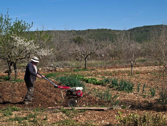 Archivo - Agricultor en el campo