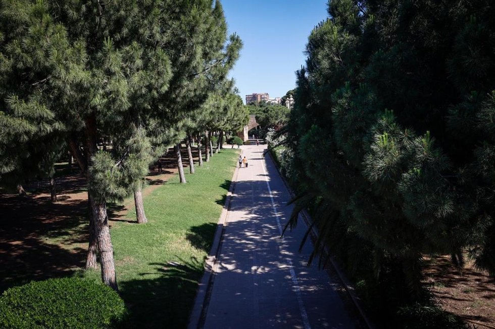 Archivo - Imagen del Jardín del Turia, en Valncia.