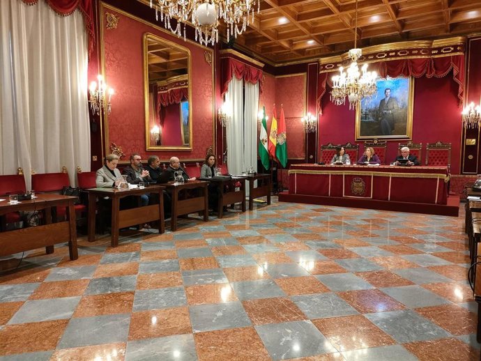Comisión de Economía del Ayuntamiento de Granada