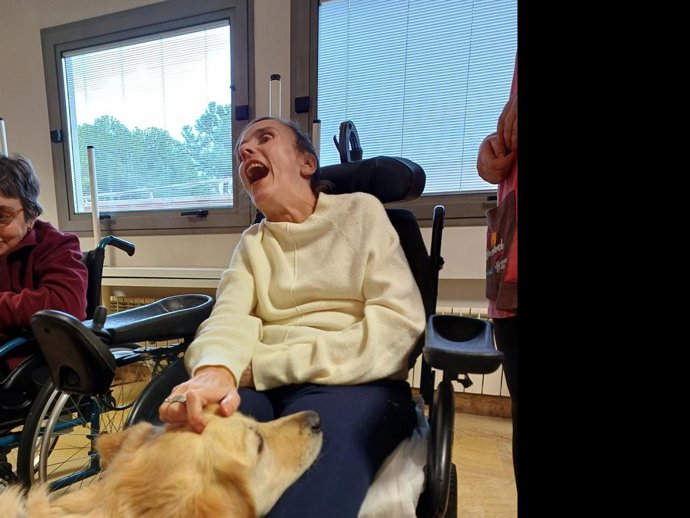 Los goldens, los indicados para pacientes con daño neurológico.