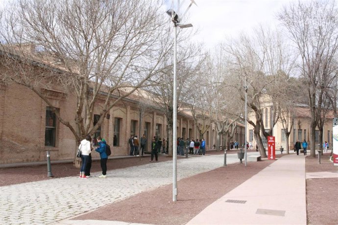 Archivo - Estudiantes en el campus toledano