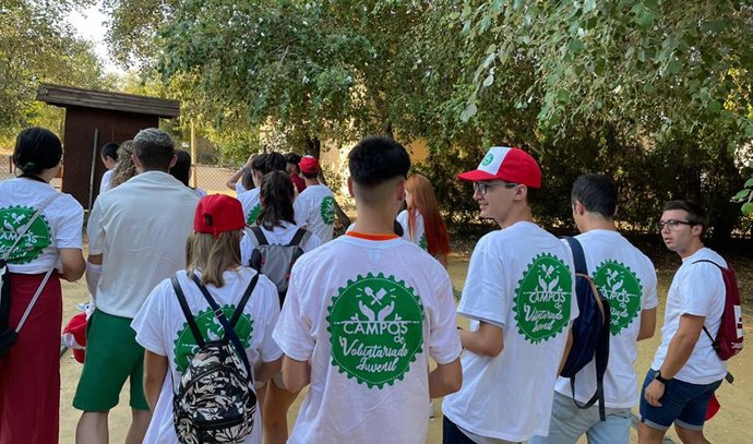 Junta aprueba el proyecto del primer Plan Estratégico de Voluntariado y Participación Ciudadana