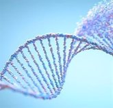 Foto: La genética puede influir en la respuesta del cuerpo a la falta de oxígeno