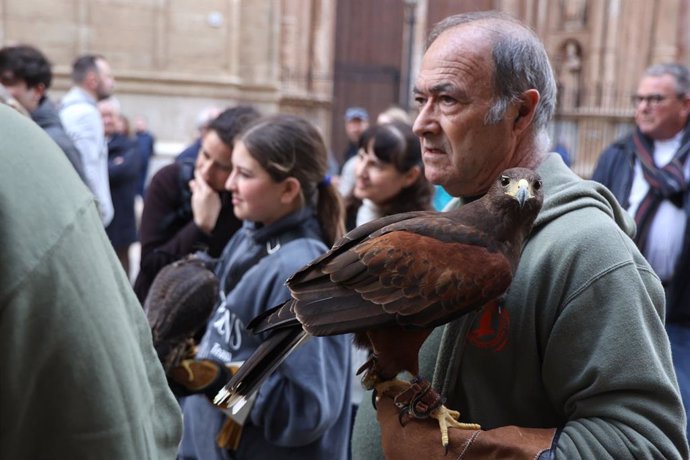 Un hombre sostiene un ave en las 'benedes' de Sant Antoni, en Palma.