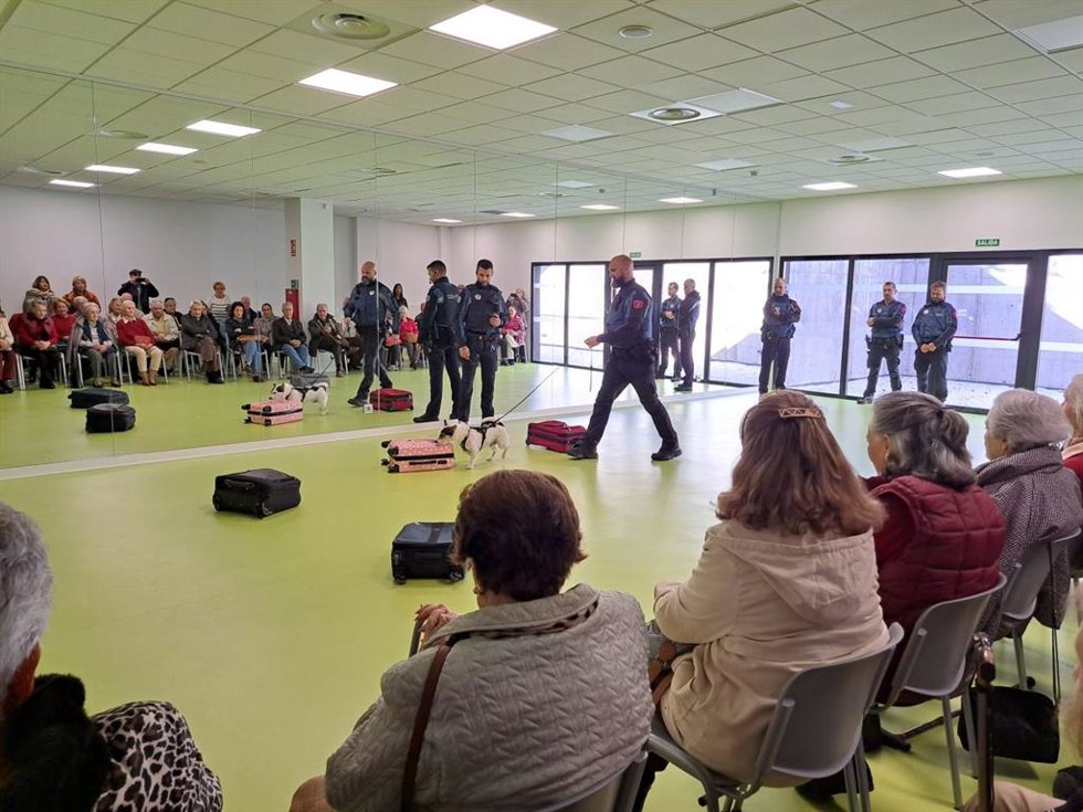 Los programas de inclusión social y voluntariado municipales trabajan por el bienestar de mascotas y de animales involucrados en terapias