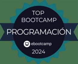 Top Bootcamp Programación 2024