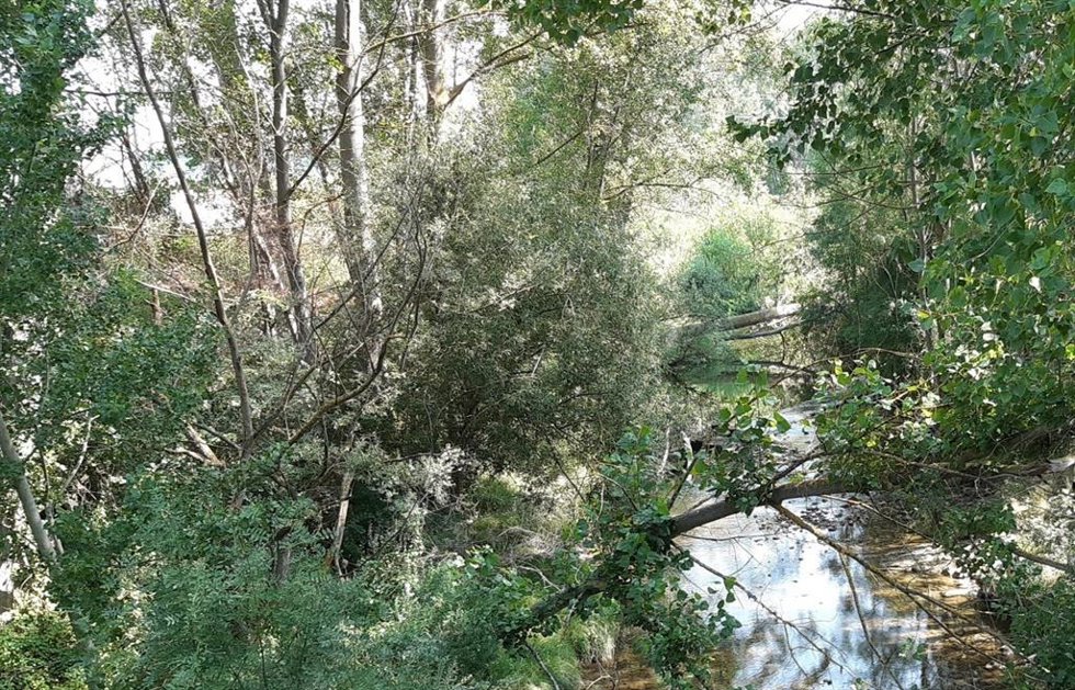 Archivo - El río Zadorra.
