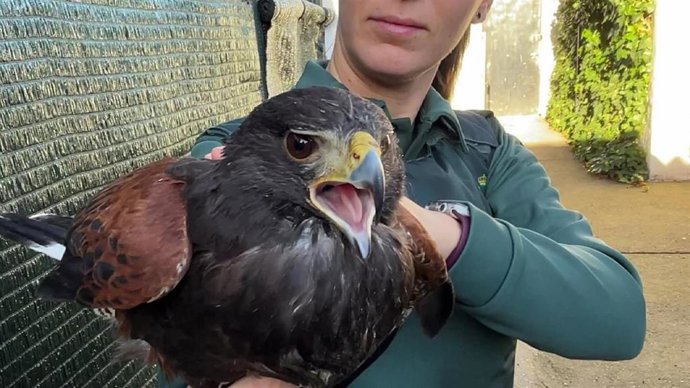 Remitiendo Nota De Prensa