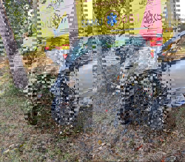 Imagen del vehículo siniestrado.