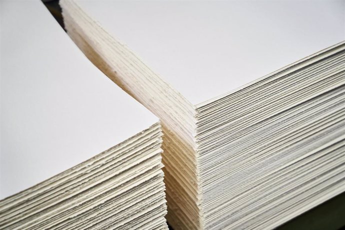Archivo - Producción de celulosa para papel
