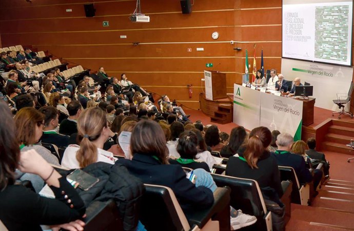 La Oncología de Precisión es el tema principal de las primeras jornadas nacionales que organiza la unidad de Oncología del Hospital Universitario Virgen del Rocío.