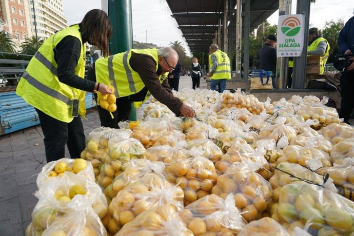 El secretario general de UPA Málaga, Francisco Moscoso, y más de una docena de agricultores, ha repartido limones este jueves en la plaza de la Marina de la capital de la Costa del sol para criticar los "precios de ruina" que cobran los productores.