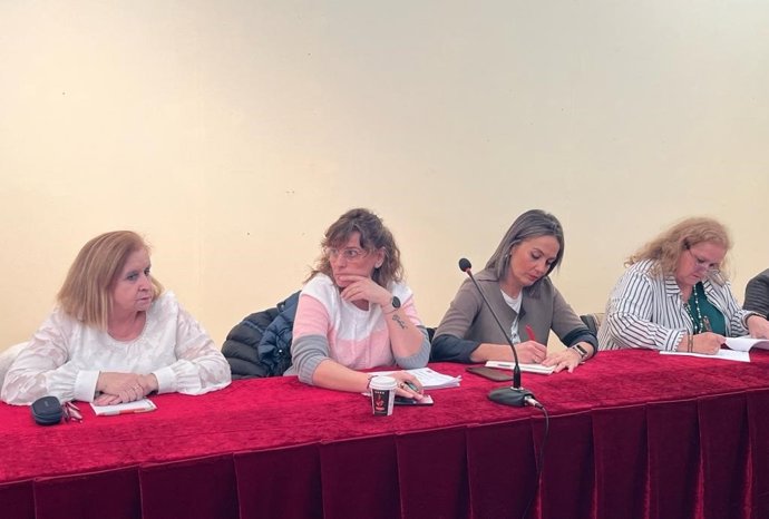 La concejala del PSOE en el Ayuntamiento de Toledo Ana Abellán.