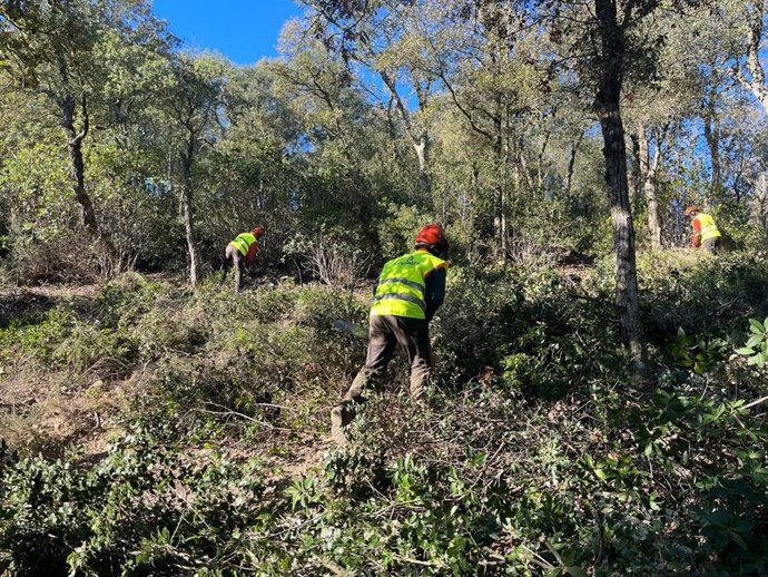 El Govern adapta la prevención de incendios en Les Gavarres (Girona) a la emergencia climática