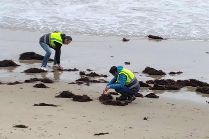 Agentes del Servicio de Vigilancia Ambiental de la Consejería de Medio Ambiente del Gobierno de Cantabria inspeccionando pélets en una playa.