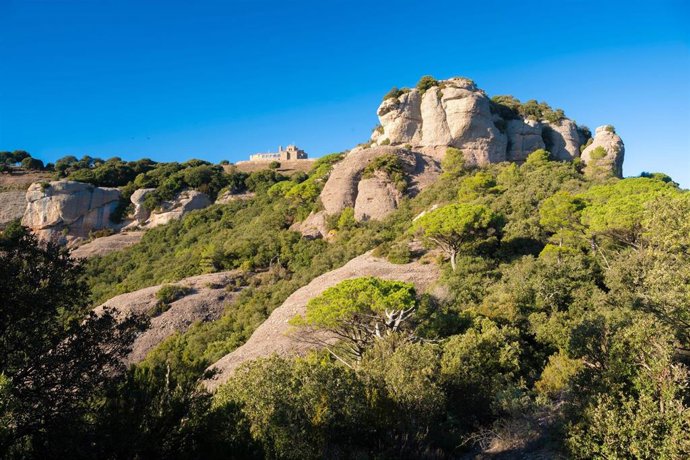 Paisaje del entorno de la montaña de la Mola.