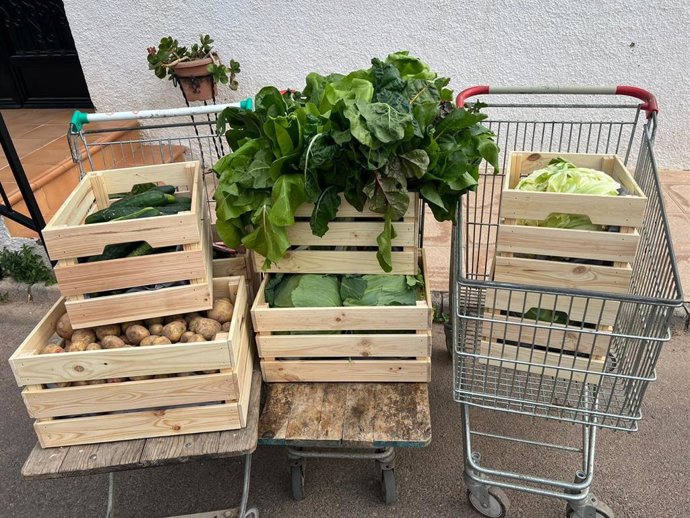 Verduras y hortalizas donadas a la Casa de Nazaret por menores infractores del CIMI El Molino de Almería.