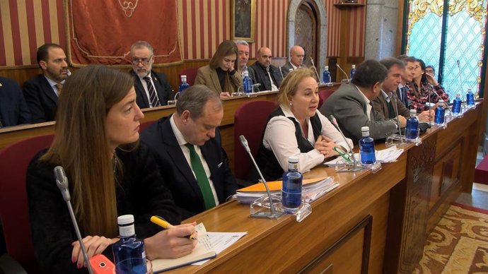 Un momento del pleno.