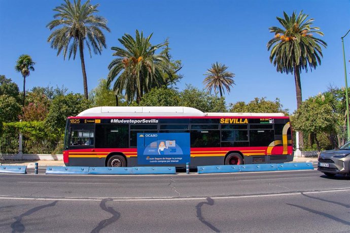 Archivo - Un autobús de Tussam circula por la avenida de la Palmera, en una foto de archivo.