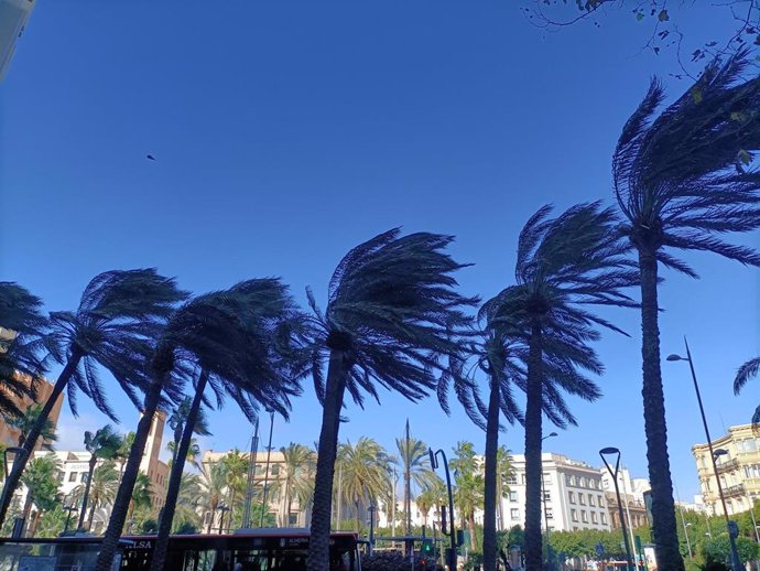 Archivo - Alerta por viento en Almería.