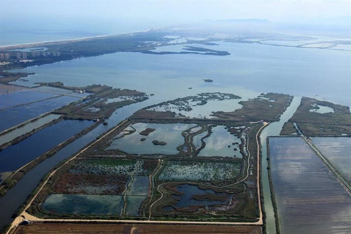 Vista aérea de la Reserva Ornitológica de SEO/BirdLife El Tancat de la Pipa, en lAlbufera de Valencia.