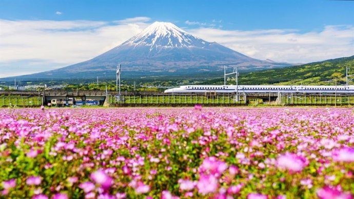 Casi 116.000 españoles viajaron a Japón en 2023, un 627,7% más que en 2022